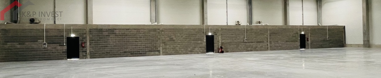 Żory, śląskie, 0 , 0 ,0,Hala/magazyn,Wynajem,2552