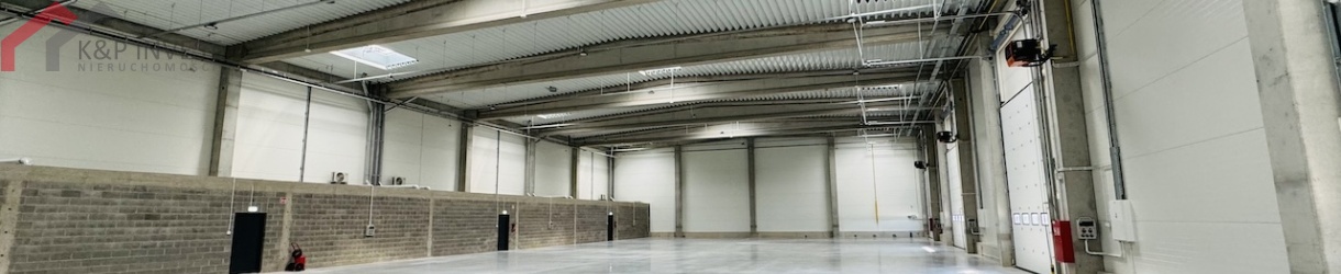 Żory, śląskie, 0 , 0 ,0,Hala/magazyn,Wynajem,2554