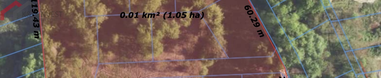 Sosnowiec, śląskie, 0 , 0 ,0,Działka,Sprzedaż,2561