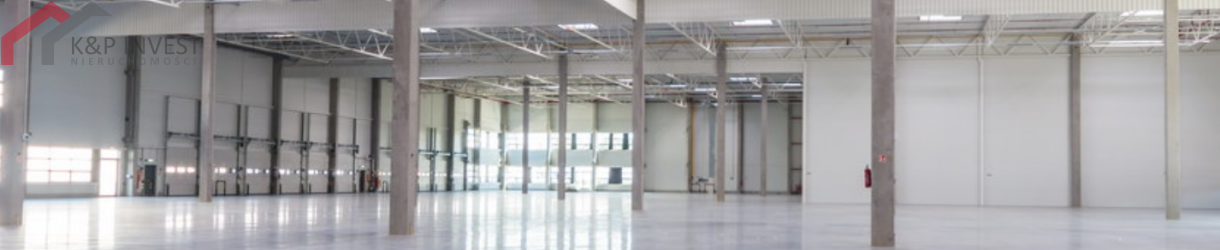 Chorzów, śląskie, 0 , 0 ,0,Hala/magazyn,Wynajem,2568