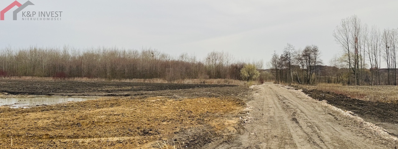 Piekary Śląskie, śląskie, 0 , 0 ,0,Działka,Sprzedaż,2573