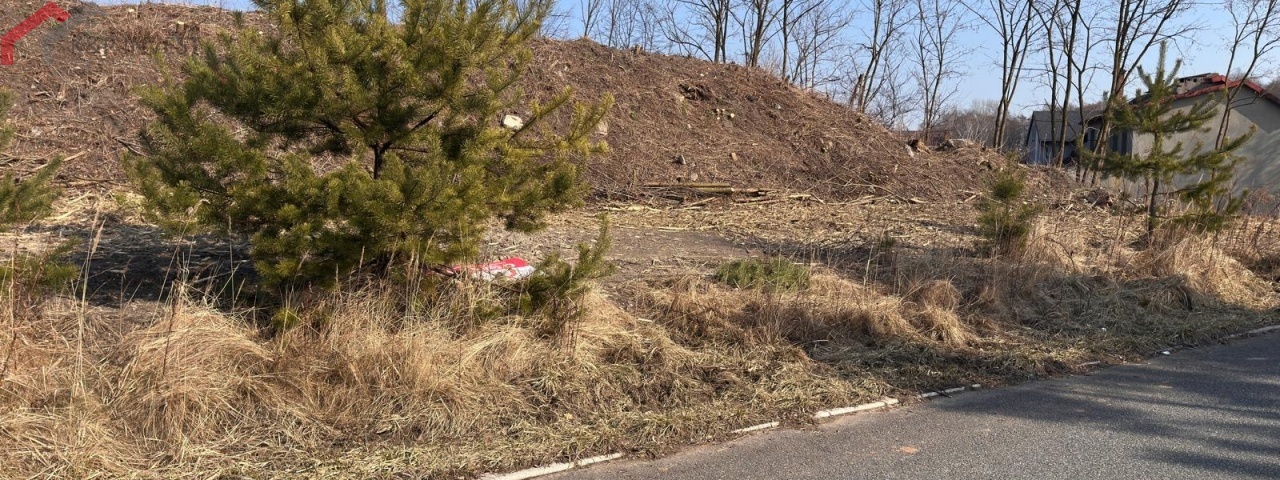 Jaworzno, śląskie, 0 , 0 ,0,Działka,Sprzedaż,2574