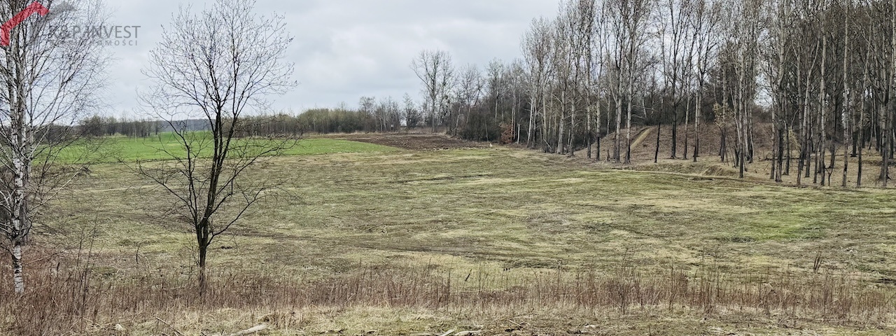 Radzionków, śląskie, 0 , 0 ,0,Działka,Sprzedaż,2576