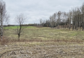 Radzionków, śląskie, 0 , 0 ,0,Działka,Sprzedaż,2576 Radzionków, śląskie, 0 , 0 ,0,Działka,Sprzedaż,2576