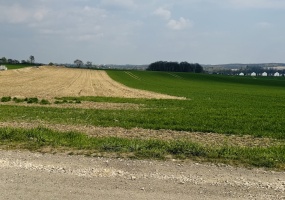 Zbrosławice, śląskie, 0 , 0 ,0,Działka,Sprzedaż,2594