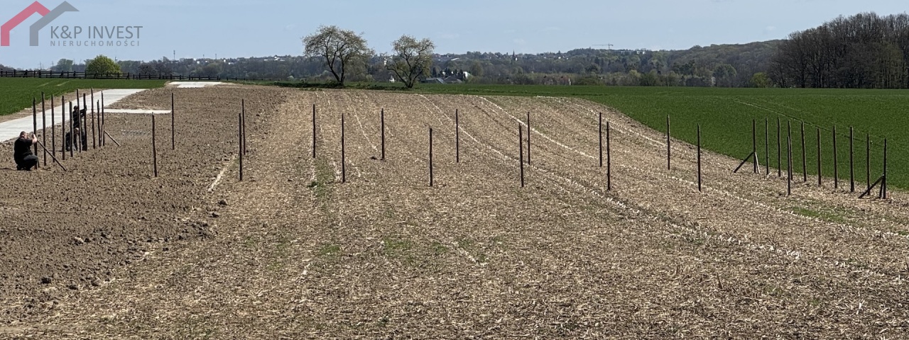 Zbrosławice, śląskie, 0 , 0 ,0,Działka,Sprzedaż,2595