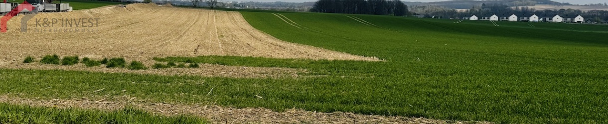 Zbrosławice, śląskie, 0 , 0 ,0,Działka,Sprzedaż,2596