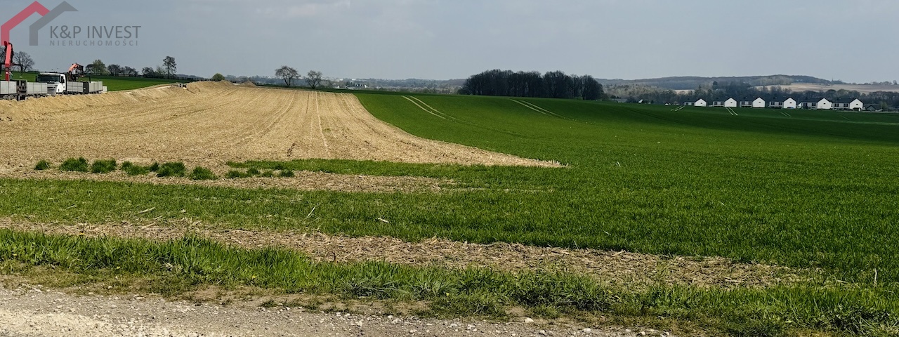 Zbrosławice, śląskie, 0 , 0 ,0,Działka,Sprzedaż,2596