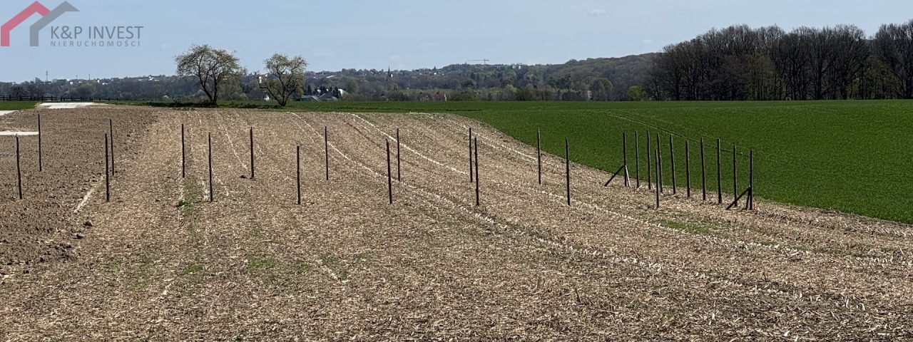 Zbrosławice, śląskie, 0 , 0 ,0,Działka,Sprzedaż,2597