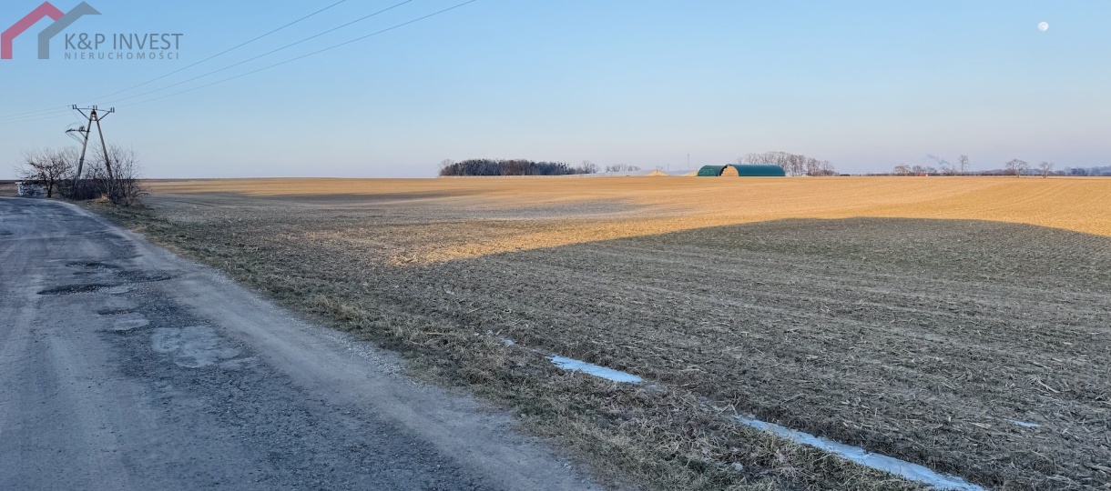 Zbrosławice, śląskie, 0 , 0 ,0,Działka,Sprzedaż,2597