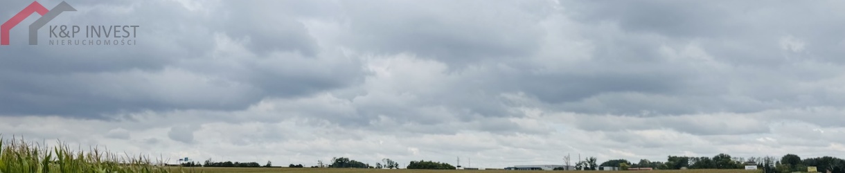 Gliwice, śląskie, 0 , 0 ,0,Działka,Sprzedaż,2599