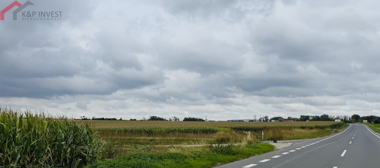 Gliwice, śląskie, 0 , 0 ,0,Działka,Sprzedaż,2599