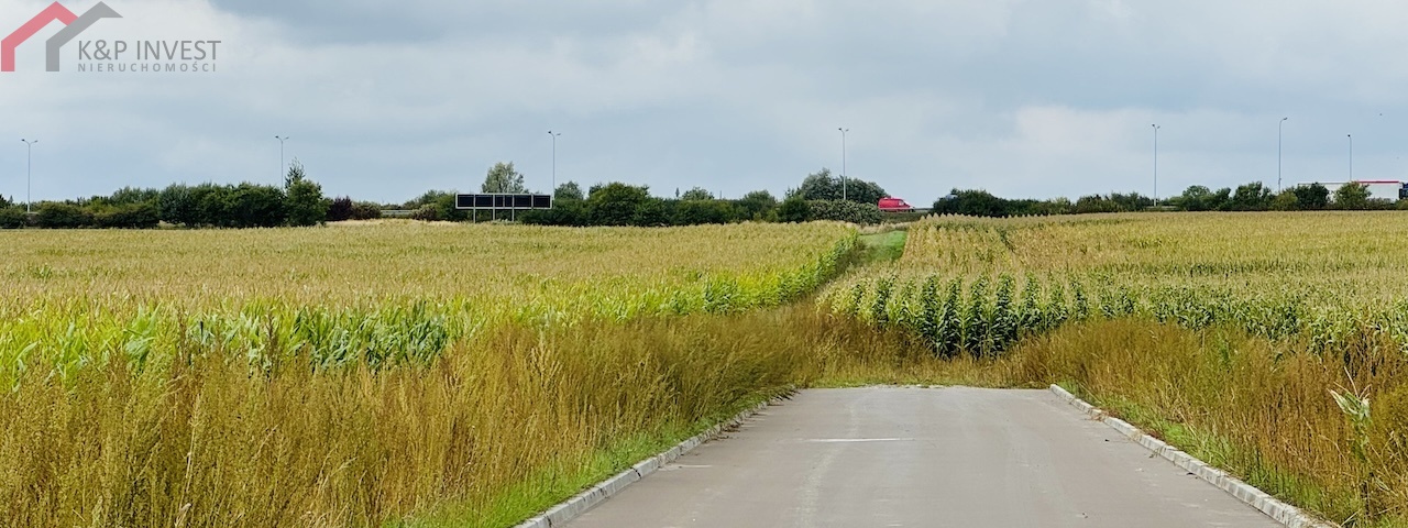 Gliwice, śląskie, 0 , 0 ,0,Działka,Sprzedaż,2599