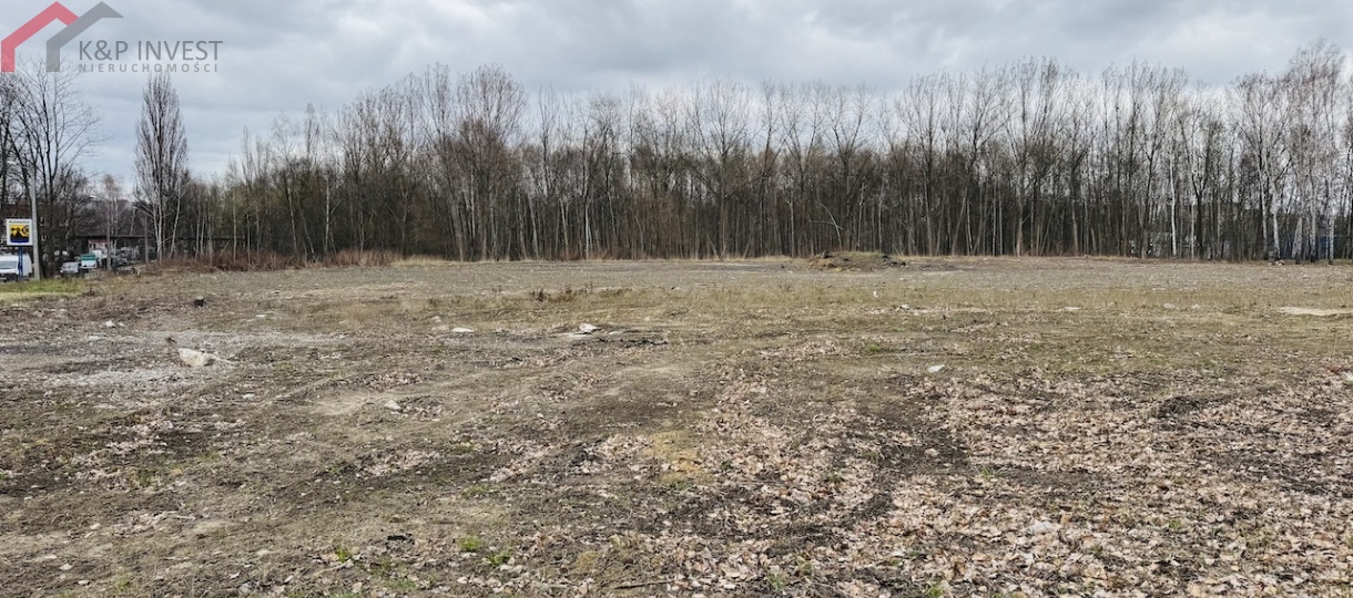 Katowice, śląskie, 0 , 0 ,0,Działka,Sprzedaż,2600