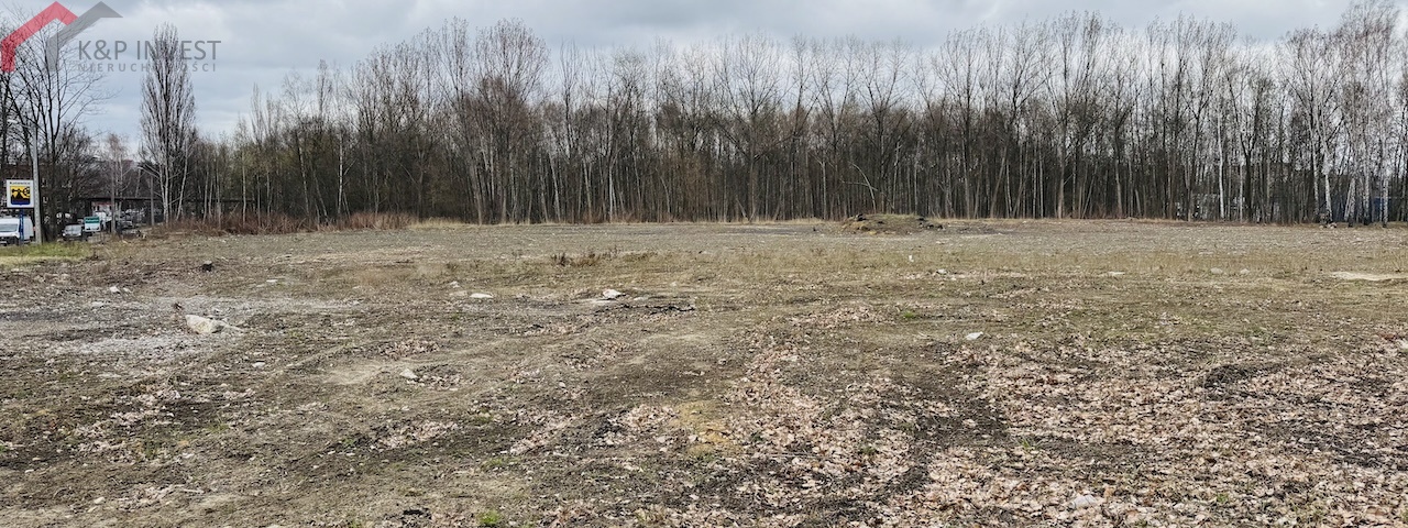 Katowice, śląskie, 0 , 0 ,0,Działka,Sprzedaż,2600