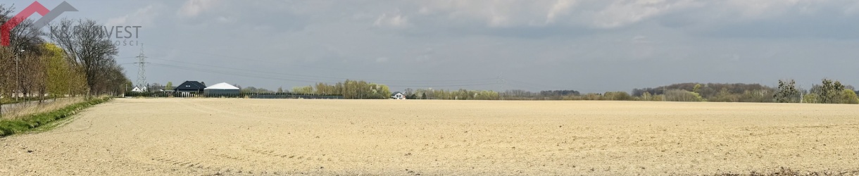 Laryszów, śląskie, 0 , 0 ,0,Działka,Sprzedaż,2603