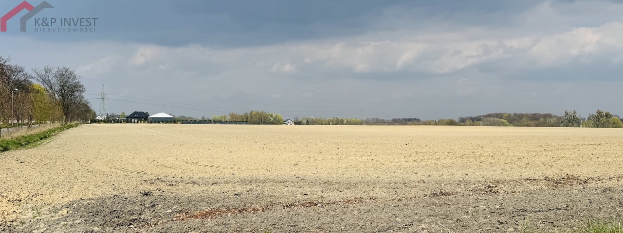Laryszów, śląskie, 0 , 0 ,0,Działka,Sprzedaż,2603