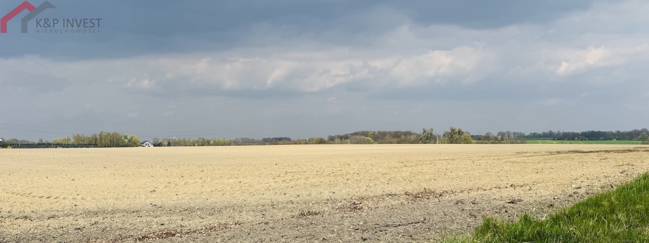 Laryszów, śląskie, 0 , 0 ,0,Działka,Sprzedaż,2603