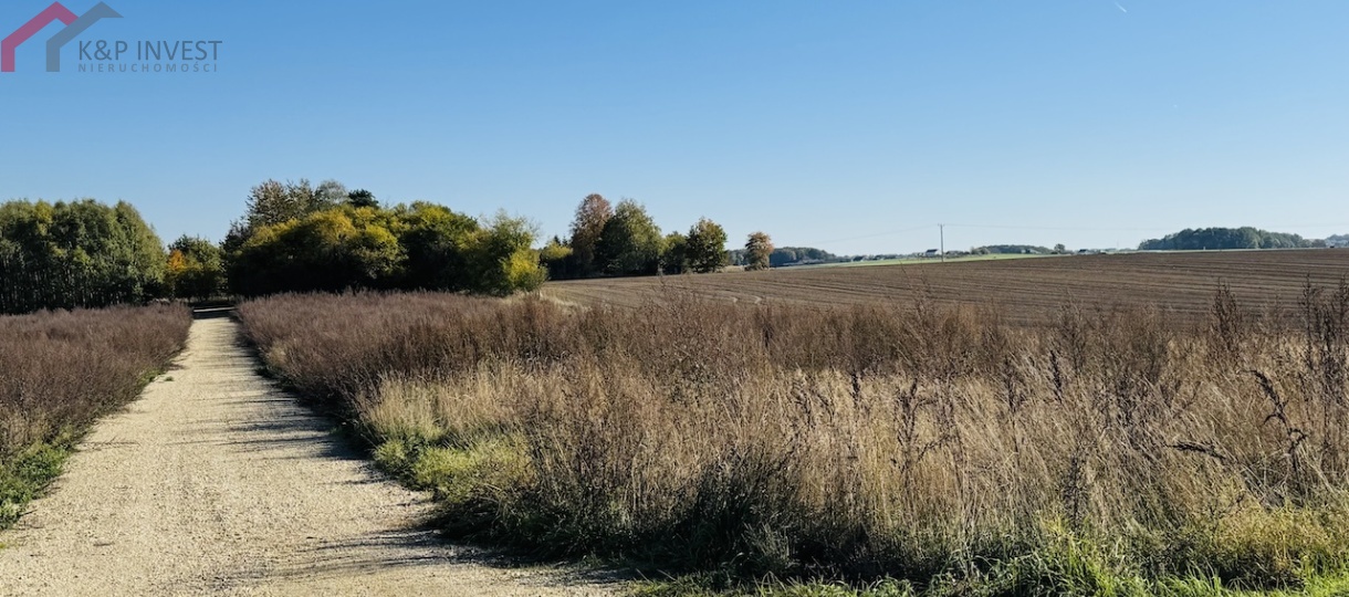 Tarnowskie Góry, śląskie, 0 , 0 ,0,Działka,Sprzedaż,2618
