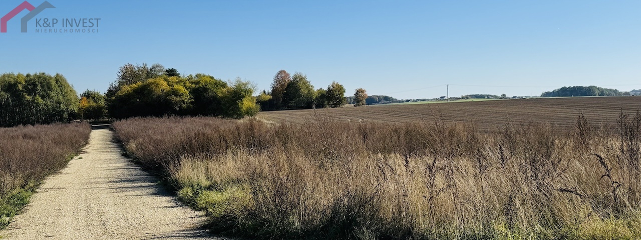 Tarnowskie Góry, śląskie, 0 , 0 ,0,Działka,Sprzedaż,2618