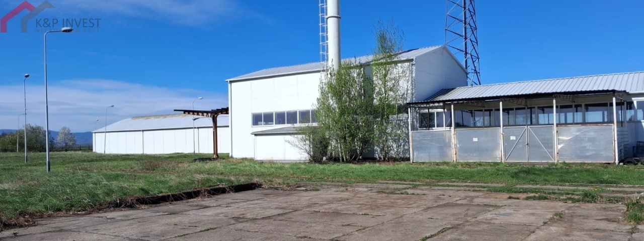 Jaźwina, dolnośląskie, 0 , 0 ,0,Hala/magazyn,Sprzedaż,2621