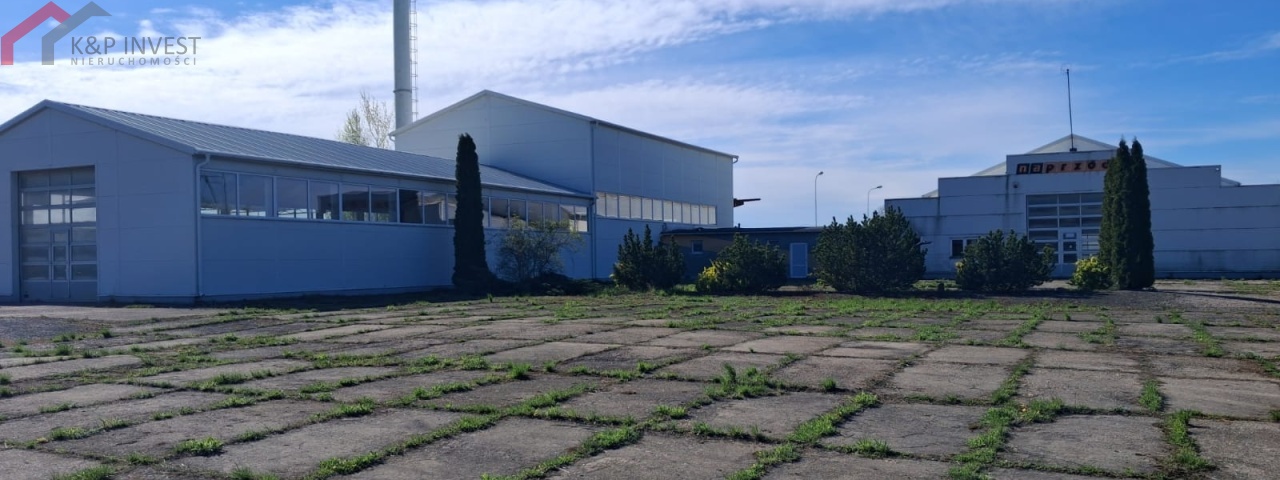 Jaźwina, dolnośląskie, 0 , 0 ,0,Hala/magazyn,Sprzedaż,2621