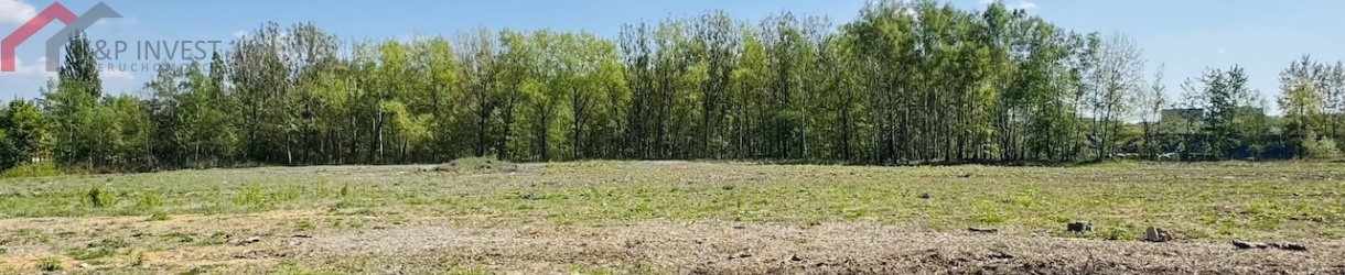 Katowice, śląskie, 0 , 0 ,0,Działka,Sprzedaż,2624