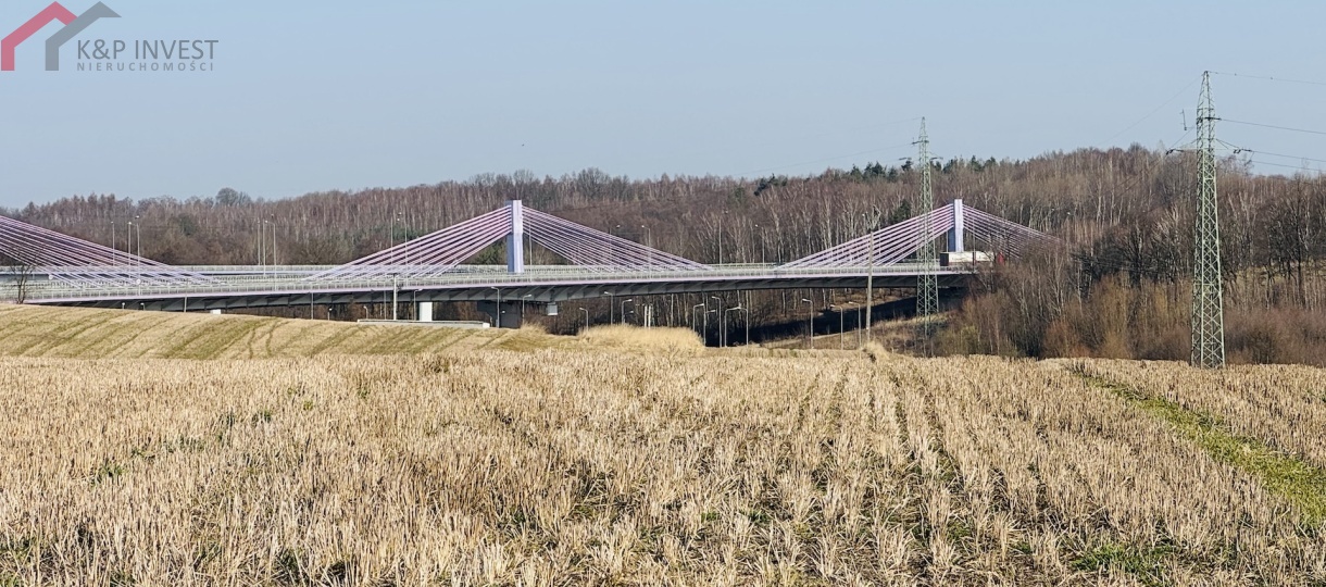 Mszana, śląskie, 0 , 0 ,0,Działka,Sprzedaż,2625