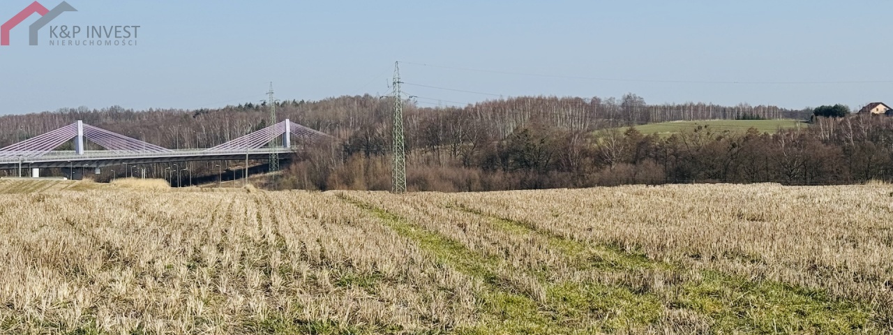 Mszana, śląskie, 0 , 0 ,0,Działka,Sprzedaż,2625