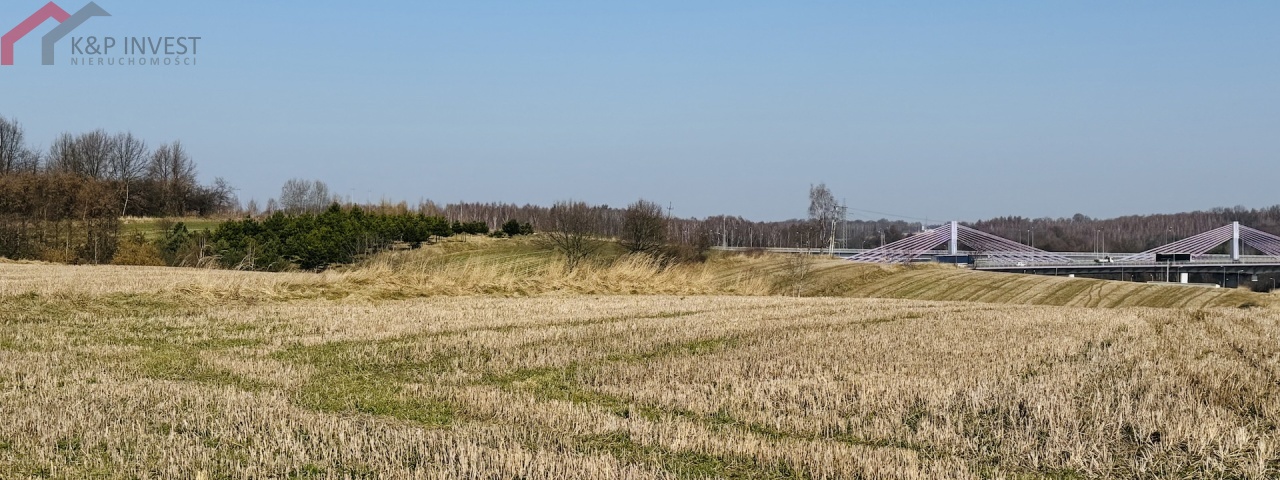 Mszana, śląskie, 0 , 0 ,0,Działka,Sprzedaż,2625