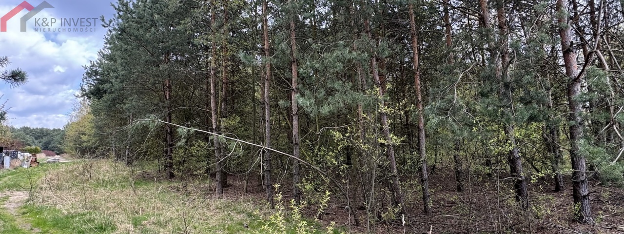Boruszowice, śląskie, 0 , 0 ,0,Działka,Sprzedaż,2628