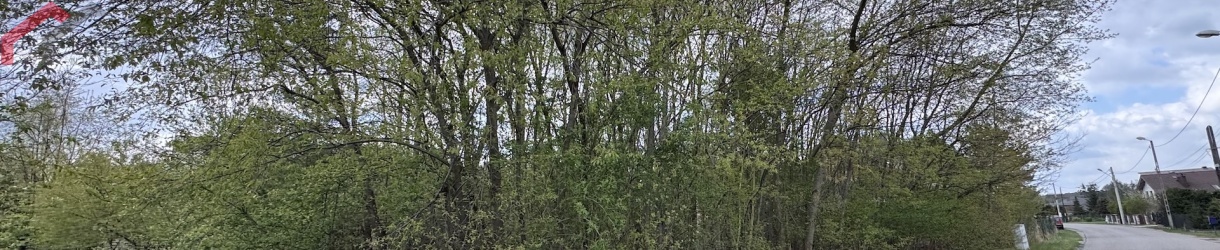 Boruszowice, śląskie, 0 , 0 ,0,Działka,Sprzedaż,2628