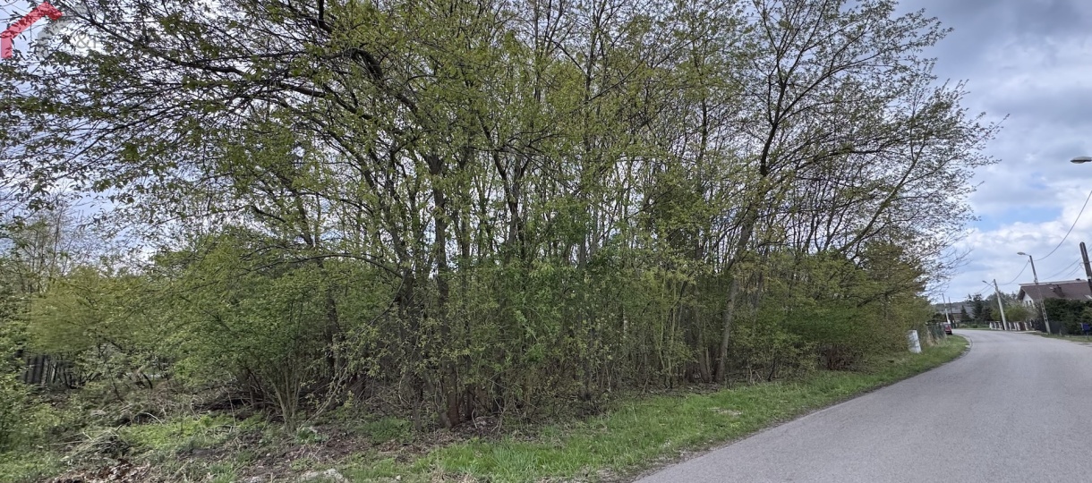 Boruszowice, śląskie, 0 , 0 ,0,Działka,Sprzedaż,2628