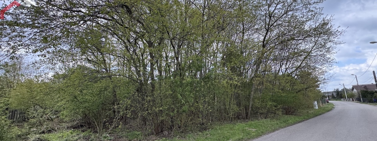 Boruszowice, śląskie, 0 , 0 ,0,Działka,Sprzedaż,2628