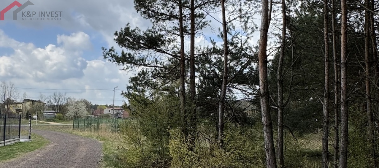 Boruszowice, śląskie, 0 , 0 ,0,Działka,Sprzedaż,2629