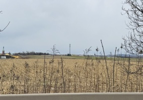 Piekary śląskie, śląskie, 0 , 0 ,0,Działka,Sprzedaż,2669 Piekary śląskie, śląskie, 0 , 0 ,0,Działka,Sprzedaż,2669