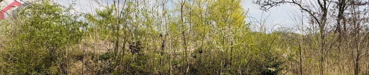 Tarnowskie Góry, śląskie, 0 , 0 ,0,Działka,Sprzedaż,2670