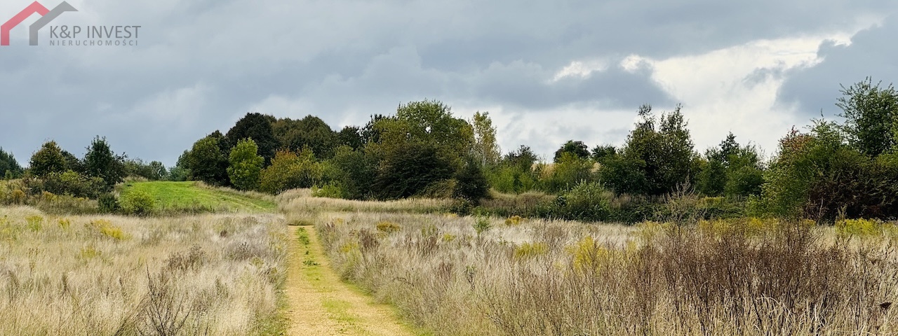 Nakło Śląskie, śląskie, 0 , 0 ,0,Działka,Sprzedaż,2678