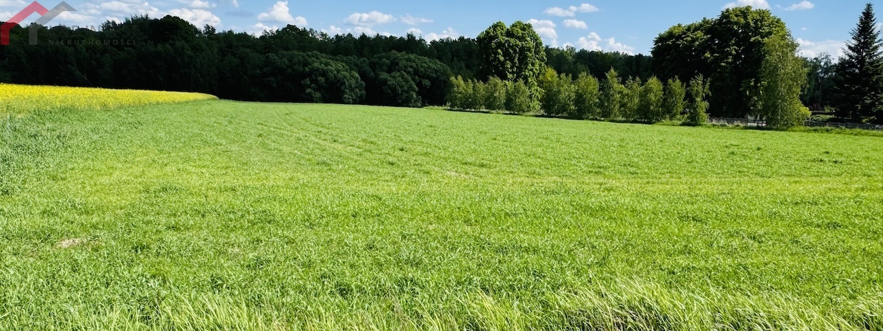 Zbrosławice, śląskie, 0 , 0 ,0,Działka,Sprzedaż,2682