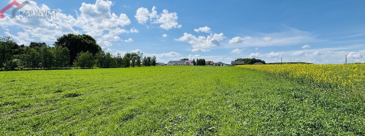 Zbrosławice, śląskie, 0 , 0 ,0,Działka,Sprzedaż,2682