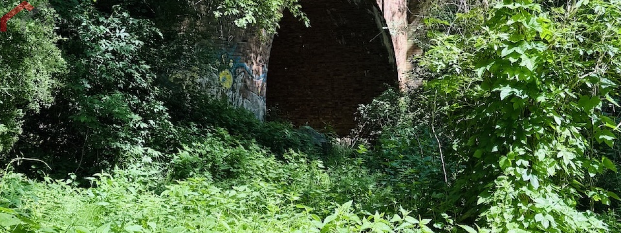 Zbrosławice, śląskie, 0 , 0 ,0,Działka,Sprzedaż,2682