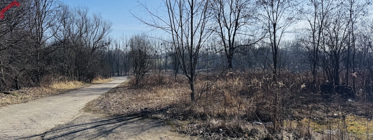 Bytom, śląskie, 0 , 0 ,0,Działka,Sprzedaż,2683