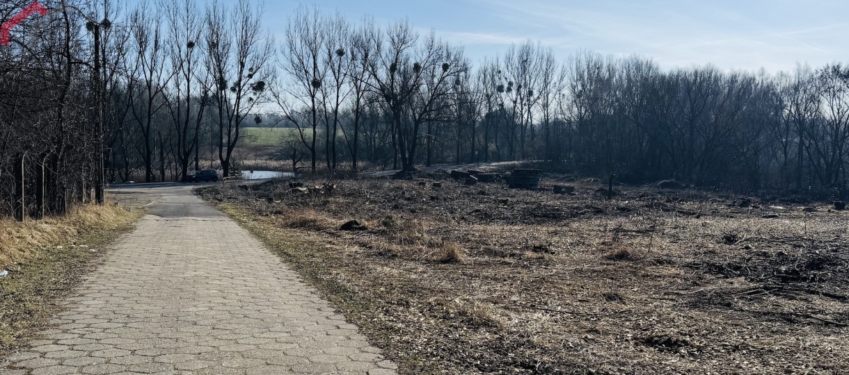 Bytom, śląskie, 0 , 0 ,0,Działka,Sprzedaż,2683