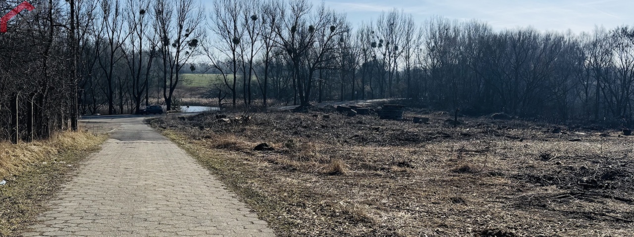 Bytom, śląskie, 0 , 0 ,0,Działka,Sprzedaż,2683