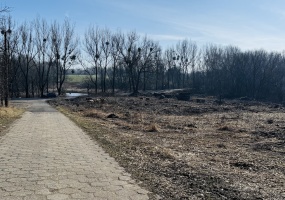 Bytom, śląskie, 0 , 0 ,0,Działka,Sprzedaż,2683