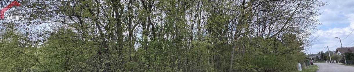 boruszowice, śląskie, 0 , 0 ,0,Działka,Sprzedaż,2687