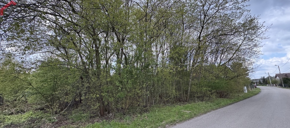 Działki pod dom przy lesie