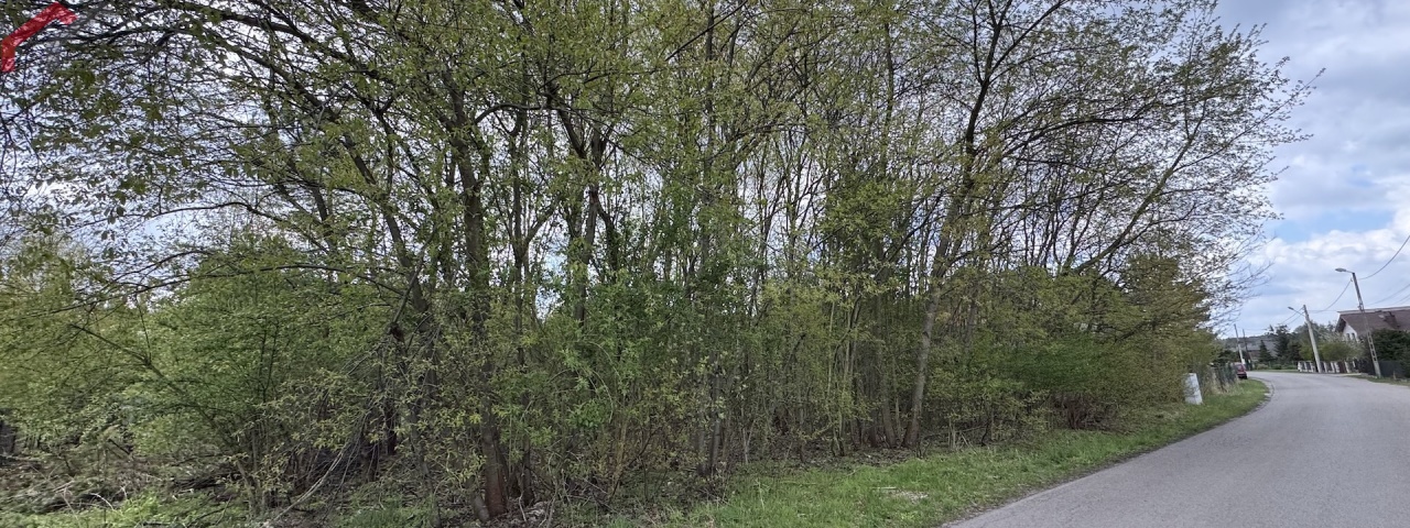boruszowice, śląskie, 0 , 0 ,0,Działka,Sprzedaż,2687