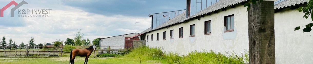 Łubki, śląskie, ,Lokal/biuro,Sprzedaż,1849