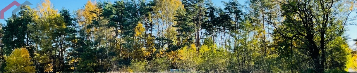 Ożarowice, śląskie, ,Działka,Sprzedaż,1876